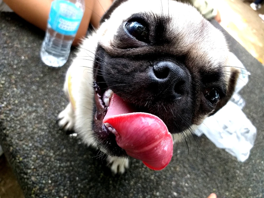 Image uploaded by Mark