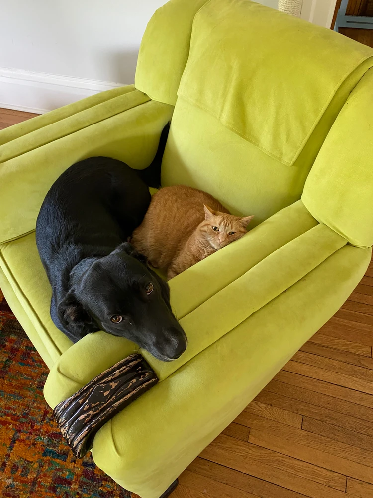 Image uploaded by Aiden