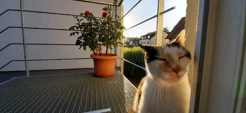 Bild hochgeladen von Bert