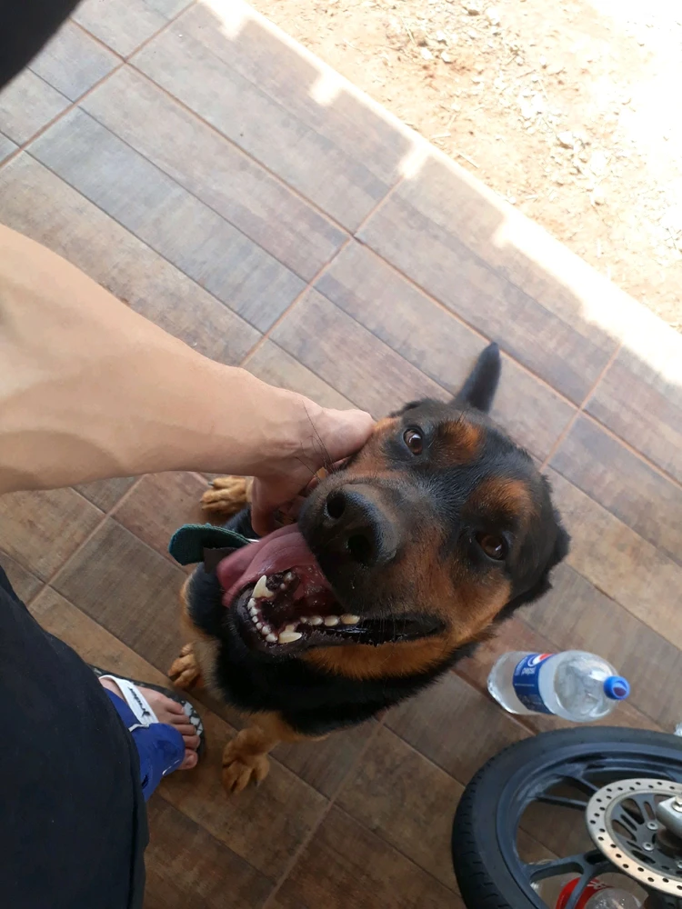 Imagem enviada por Felipe