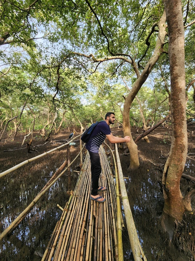 Image uploaded by Animesh