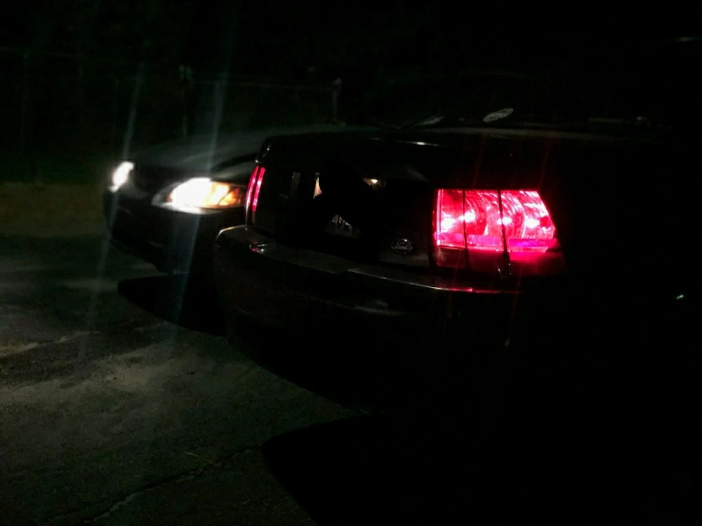 Image uploaded by Austin