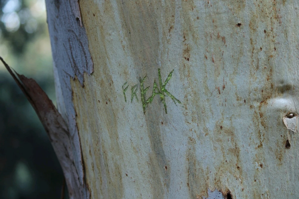 Imagen subida por Violeta