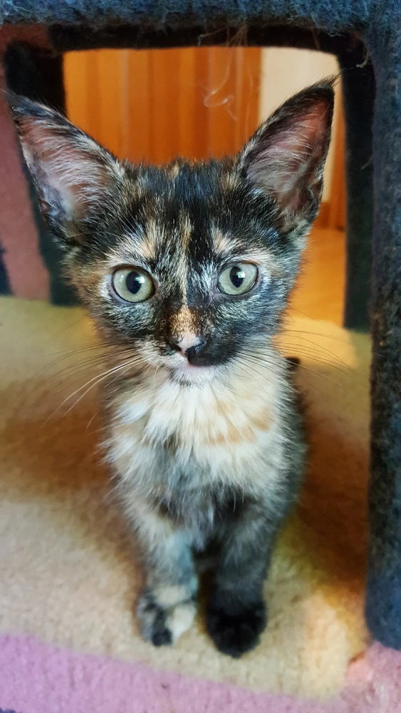 Image uploaded by Shannon