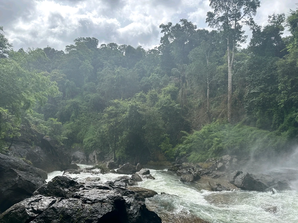 Image uploaded by Nikhil Murali