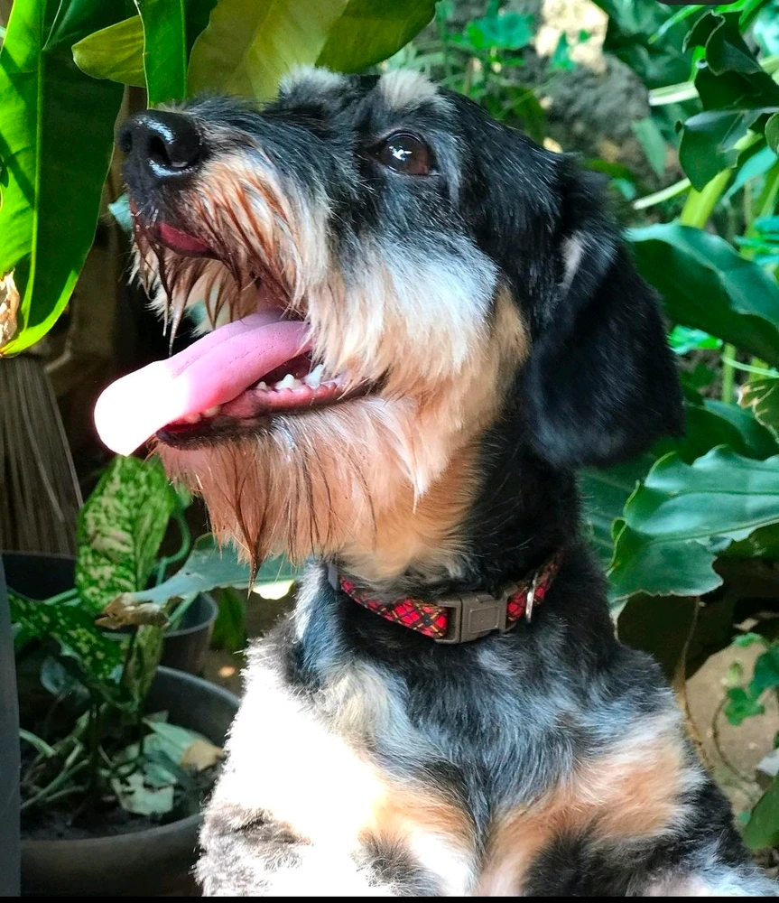 Gambar diunggah oleh Amoy