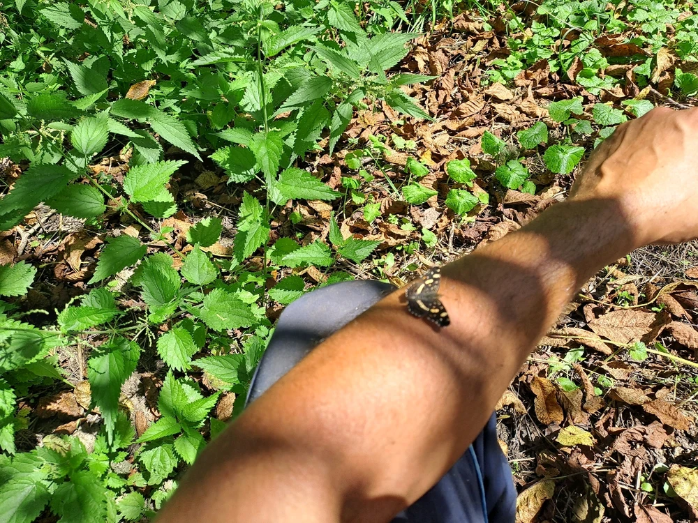 Image uploaded by Milan