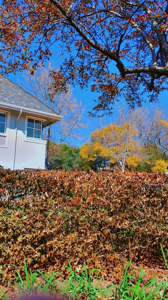 Image uploaded by Samiegh