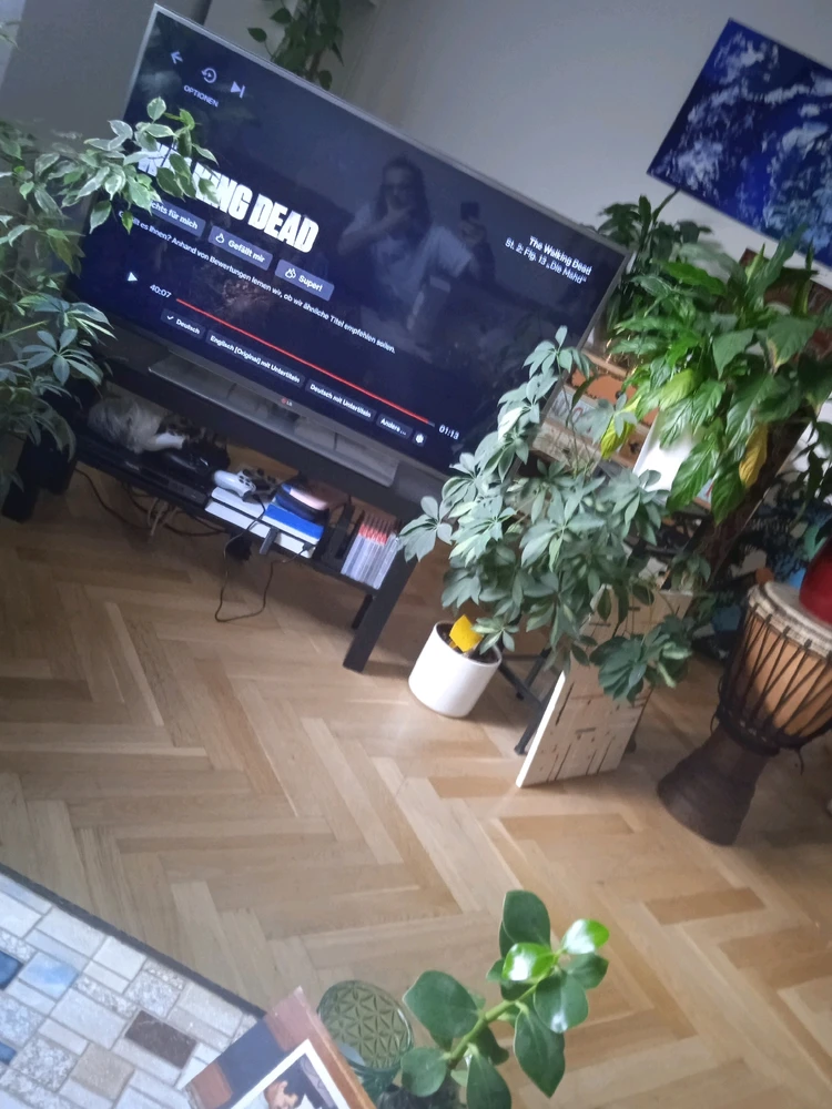 Bild hochgeladen von Jeff ich heiße Jeff