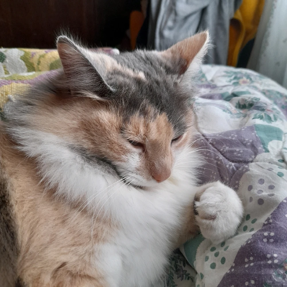 Imagen subida por Soledad