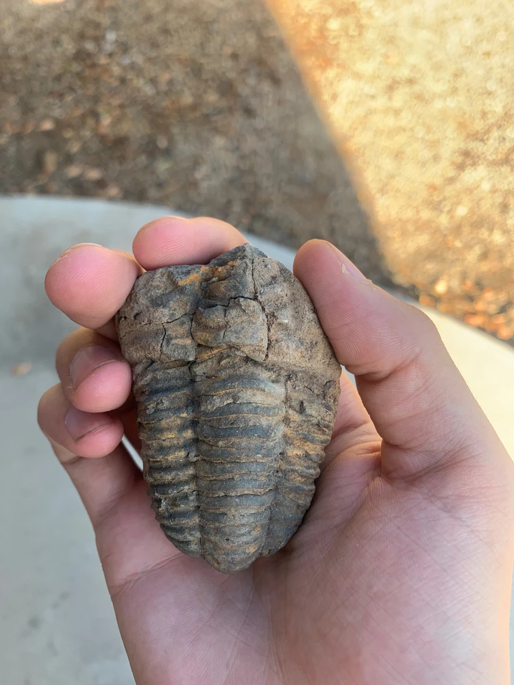 Image uploaded by Matthew