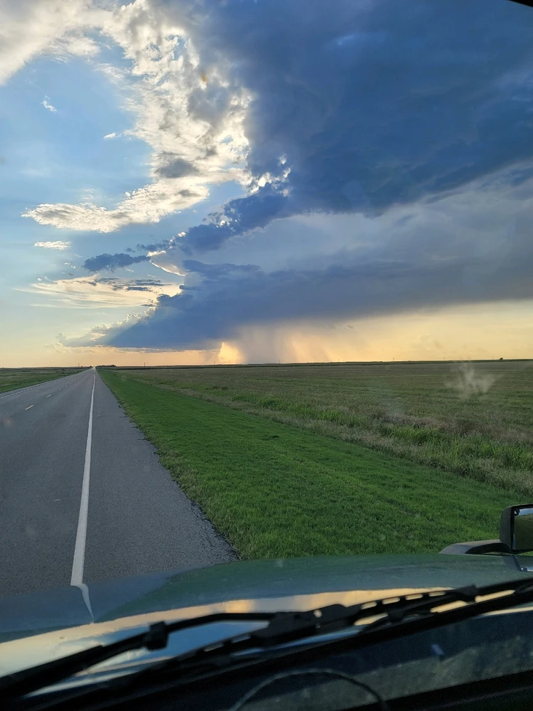 Image uploaded by Tyler