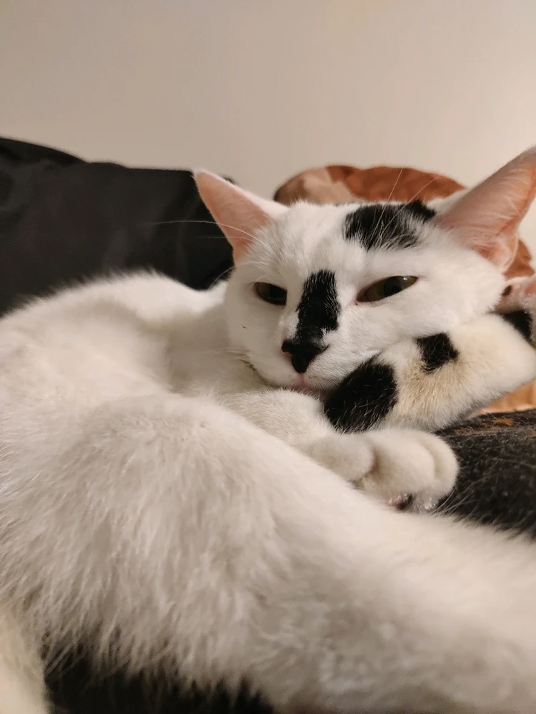 Image uploaded by Em