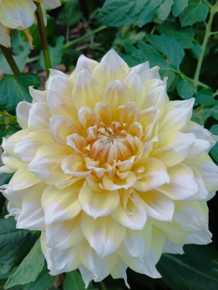 Фото загрузил teentnya