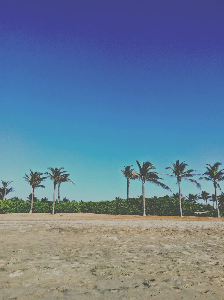 Image uploaded by Dev