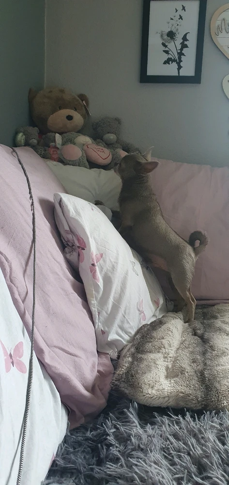 Image uploaded by Mandi