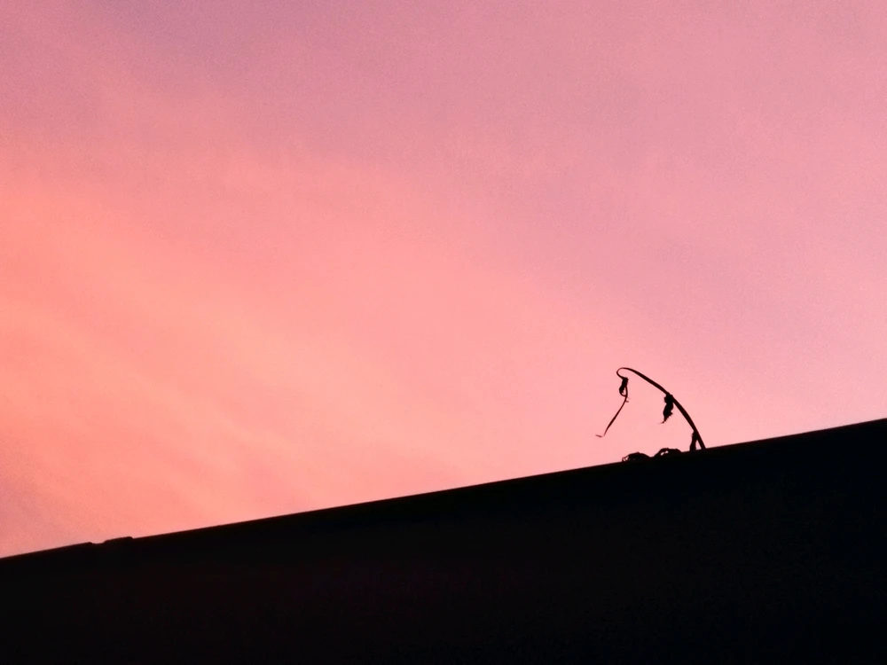 Obrázek nahrál Ondřej