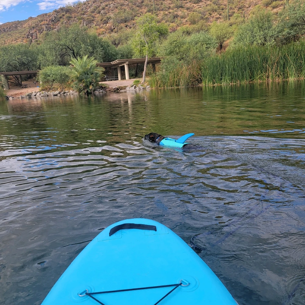 Image uploaded by Tyler