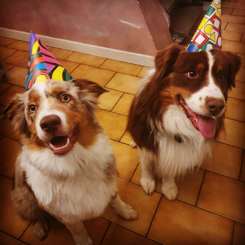 Image ajoutée par Julie