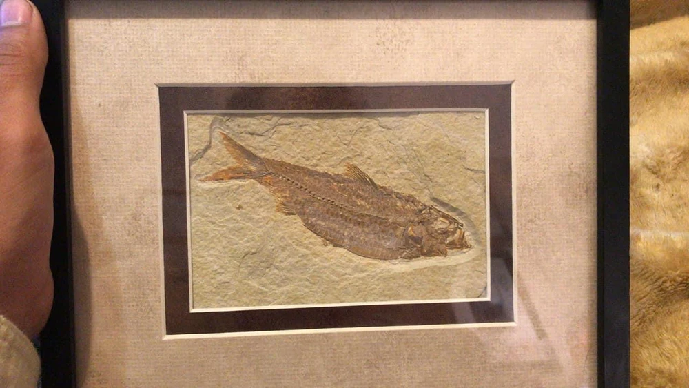 Image uploaded by Matthew