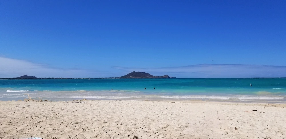 Image uploaded by Billy