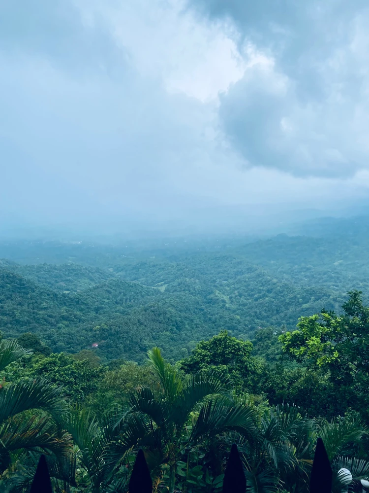 The rainy season in tagaytay