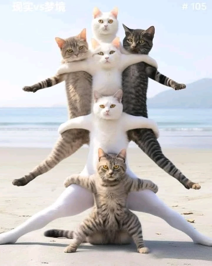 Image ajoutée par Dorian🐞