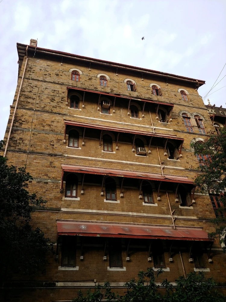 Image uploaded by Rohan