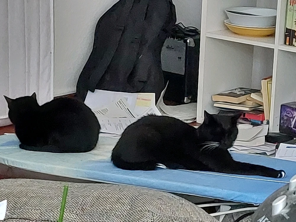 Bild hochgeladen von Melvin