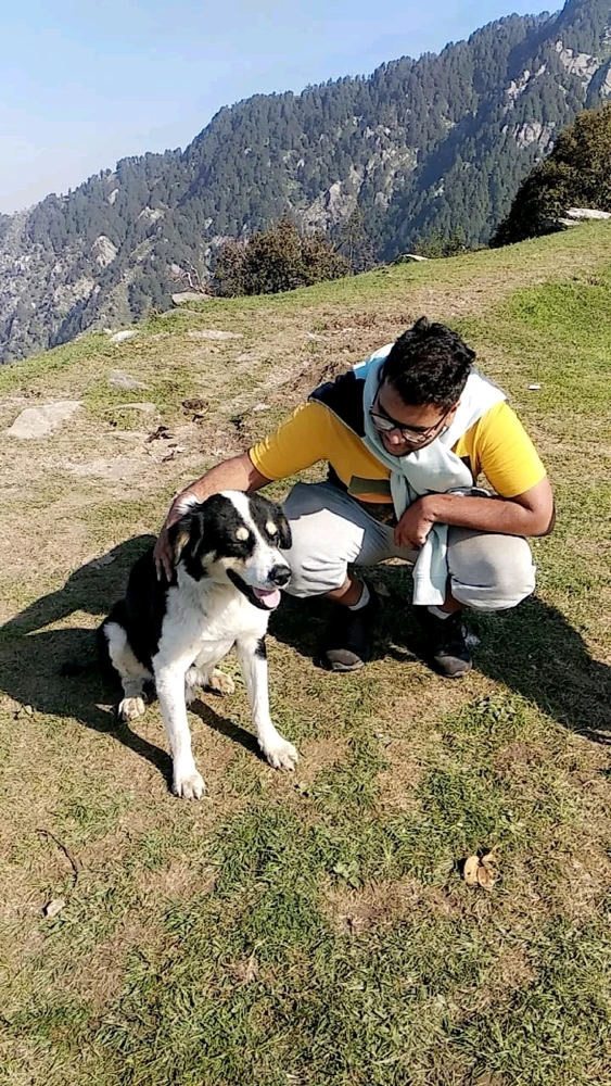 Image uploaded by Pulkit Agarwal