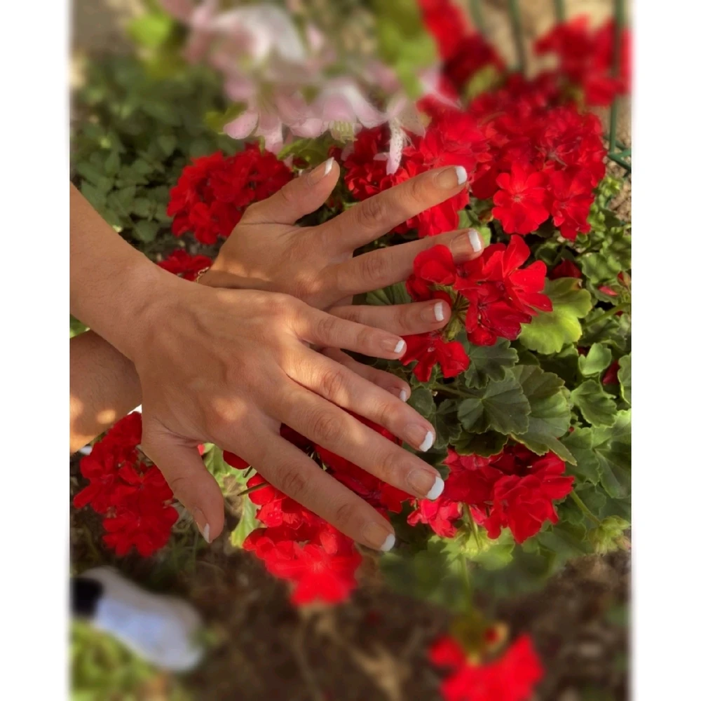 Image ajoutée par Jess