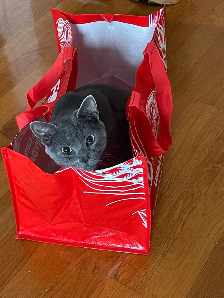 Image uploaded by Ginny