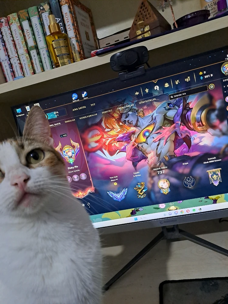 Zoenna tarafından yüklenen görsel