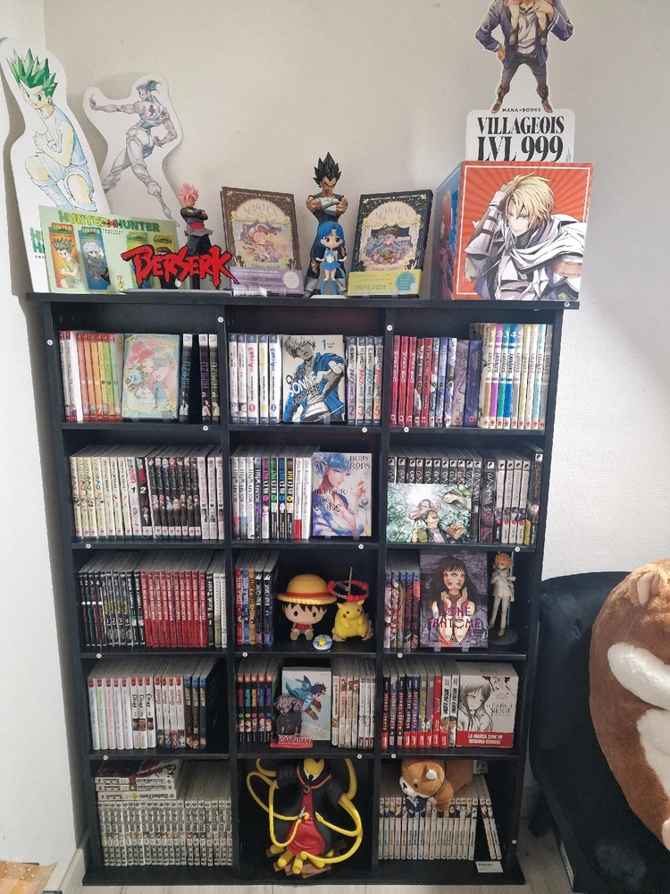 Recommandation seinen