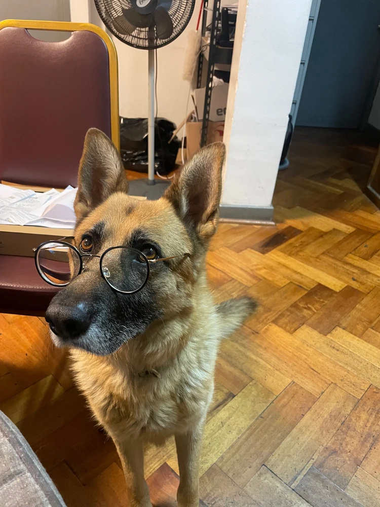 Image uploaded by Hai