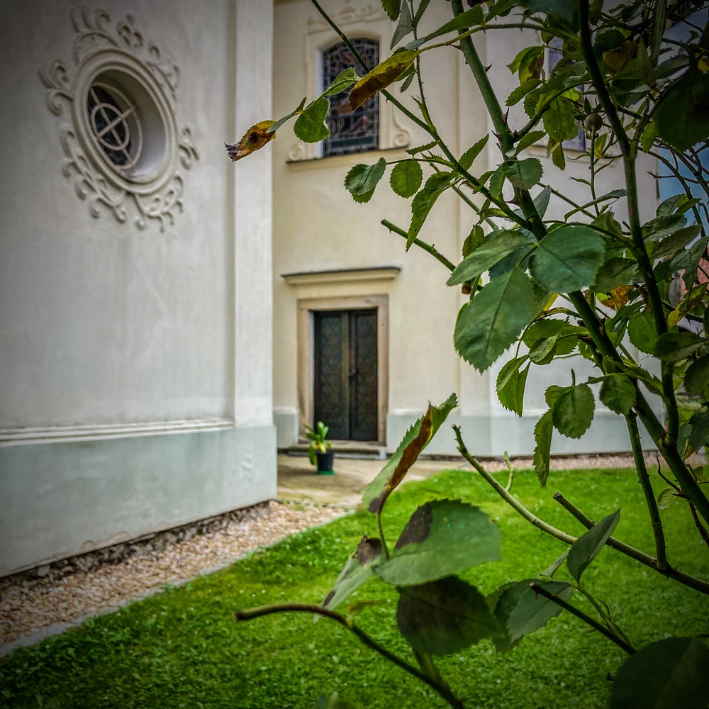 🇨🇿 I Klokoty mají ponurou historii. Mnohokrát byli na pokraji zániku ale vždy tu byli s jsou tu.
🇬🇧 The Klokoty have a grim history too. Many times they have been on the verge of extinction but they have always been here with are here.