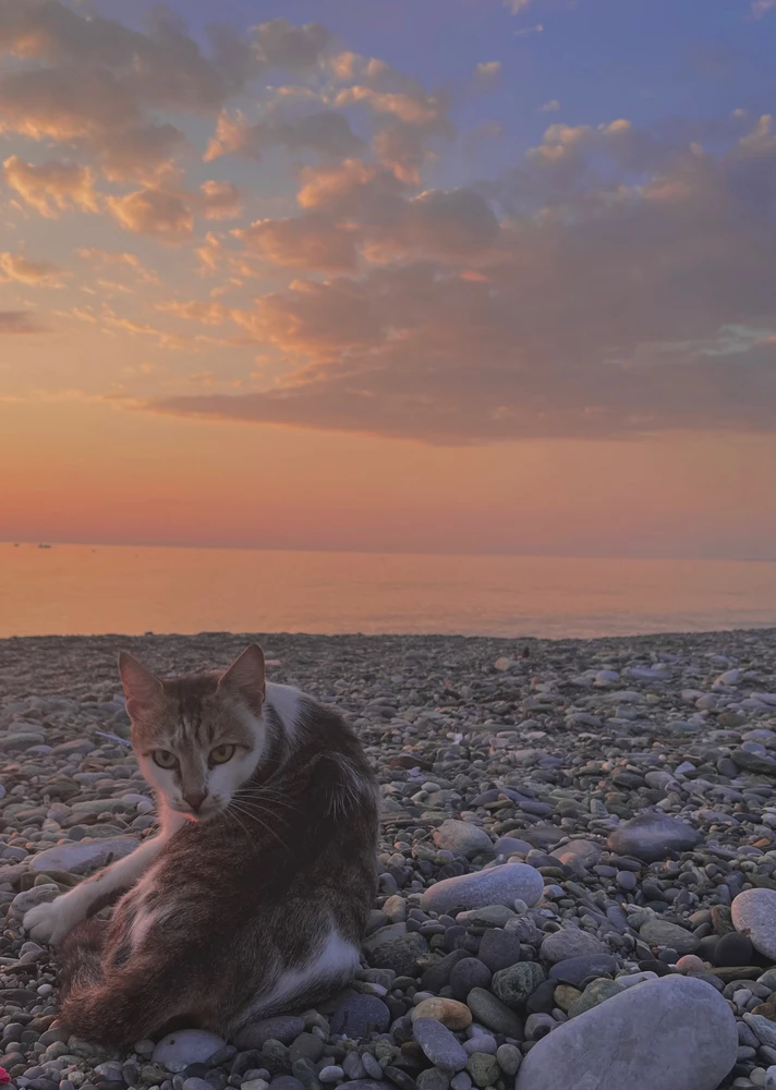 Gambar diunggah dening Kristina