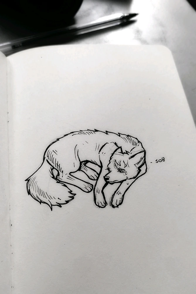 Zdjęcie dodane przez Karolina