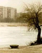 Зображення завантажив Ольчик=)