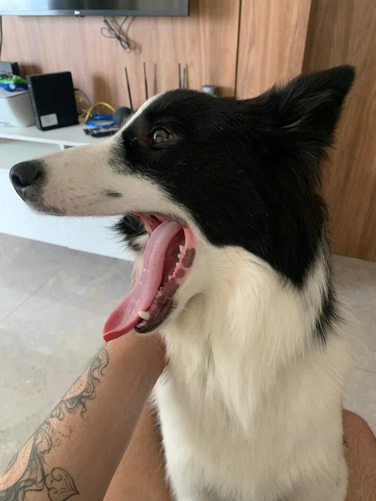 Imagem enviada por Lucas