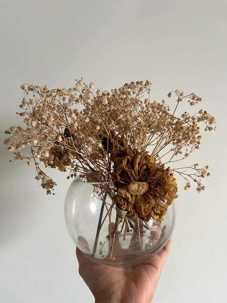 Image uploaded by A’s