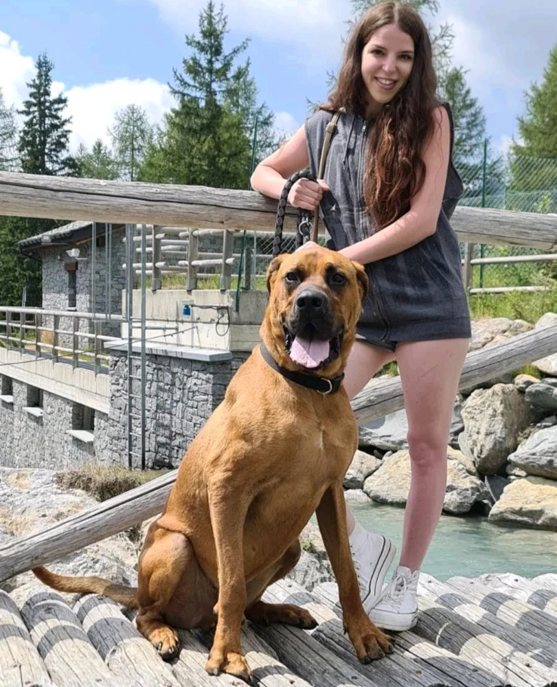 Immagine caricata da Sharon