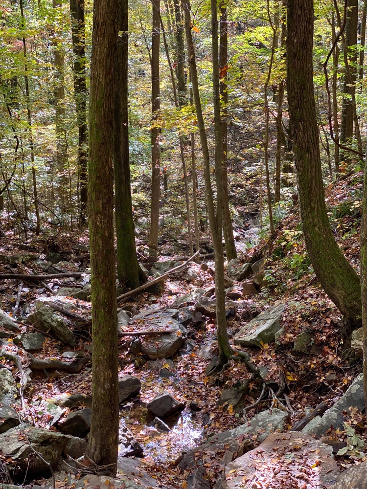 Image uploaded by Declan