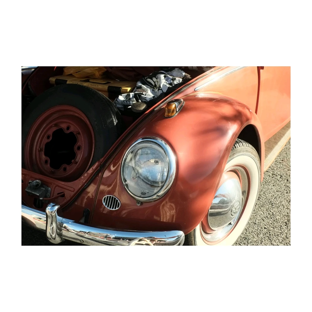 Image uploaded by Matt