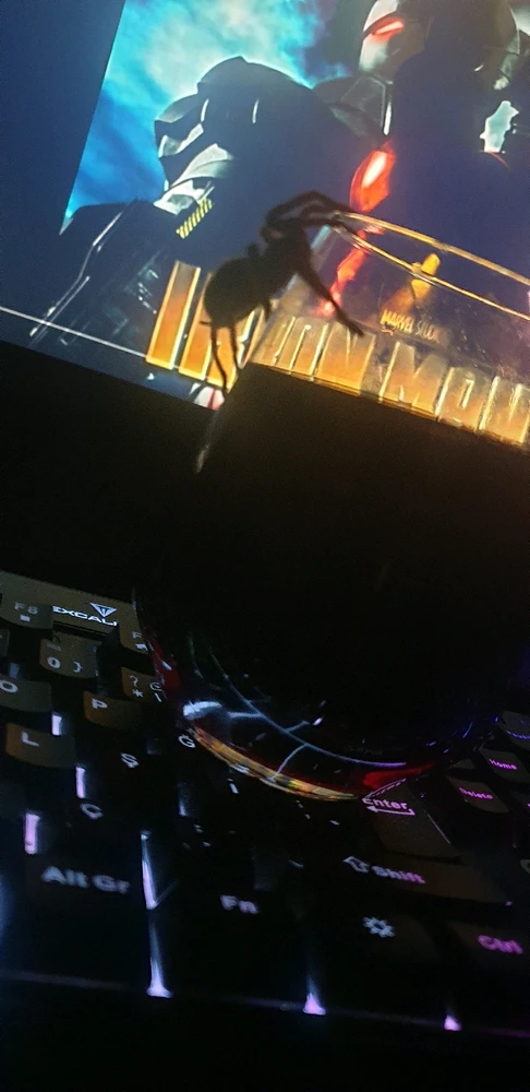 Kadir tarafından yüklenen görsel