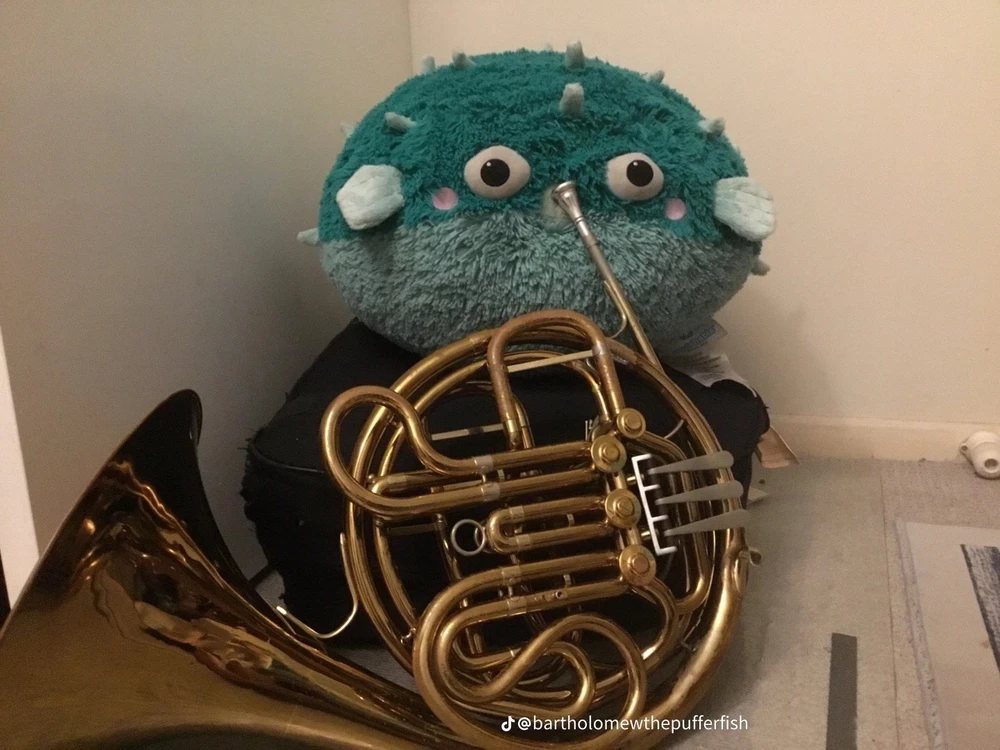 Image uploaded by Mariana