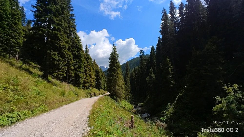 Immagine caricata da ShaDe