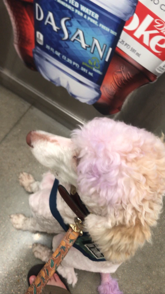 Image uploaded by Lake