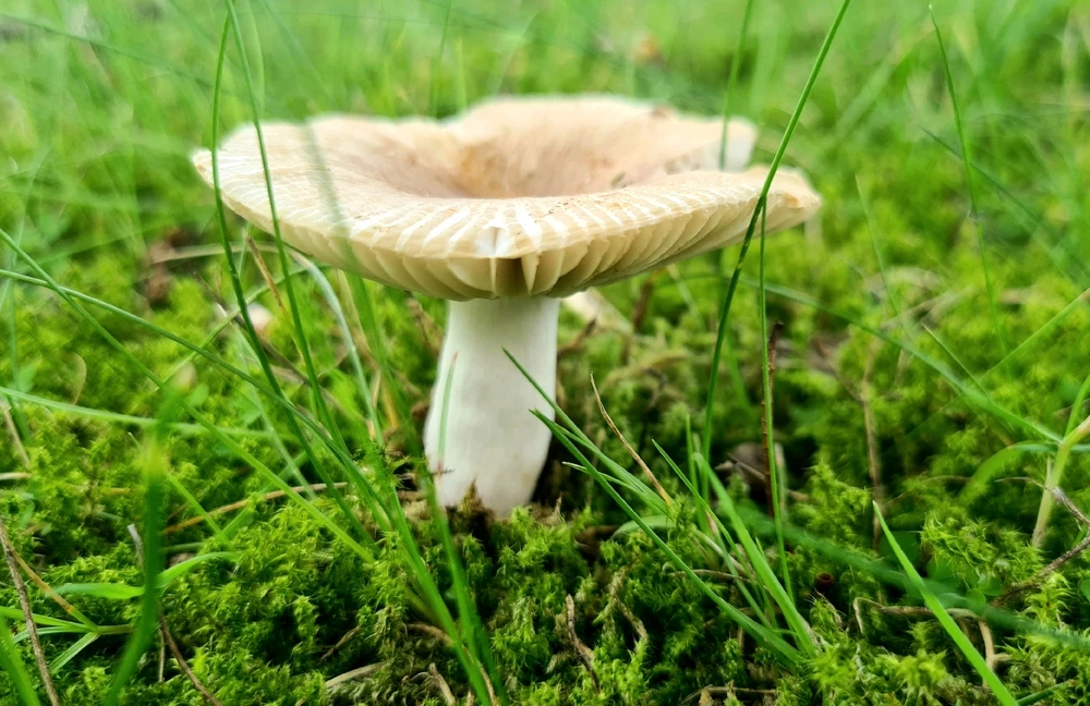 Bild hochgeladen von Basti