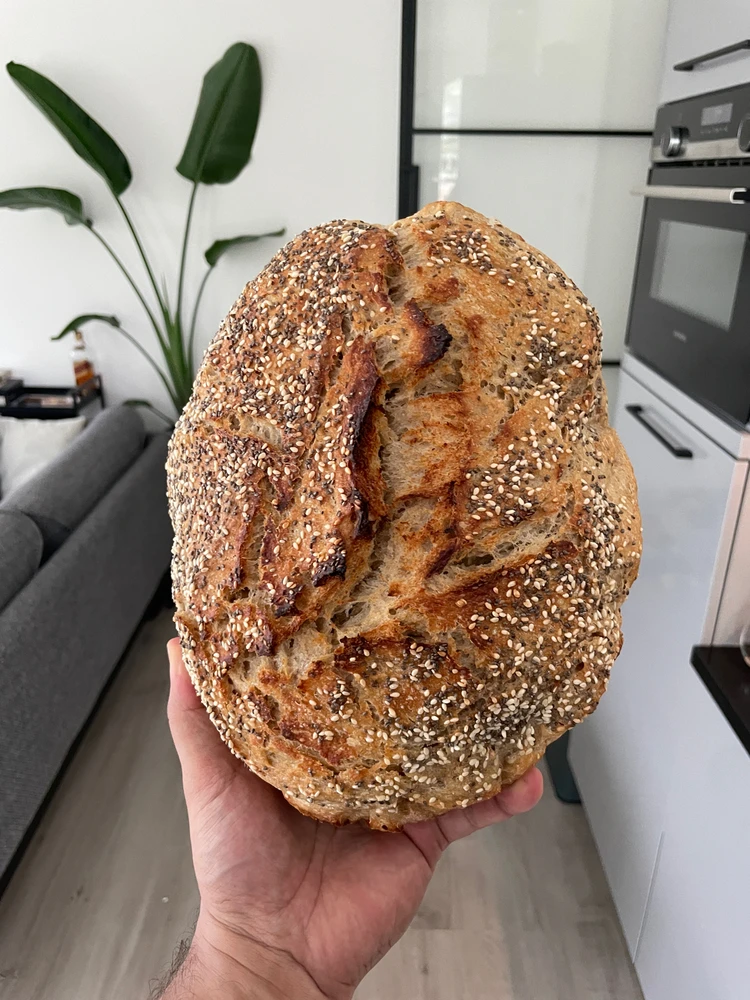 Rembrandt上傳的圖片